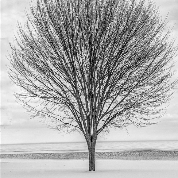 Meet your Posher, Frank - Picture 1 of 3